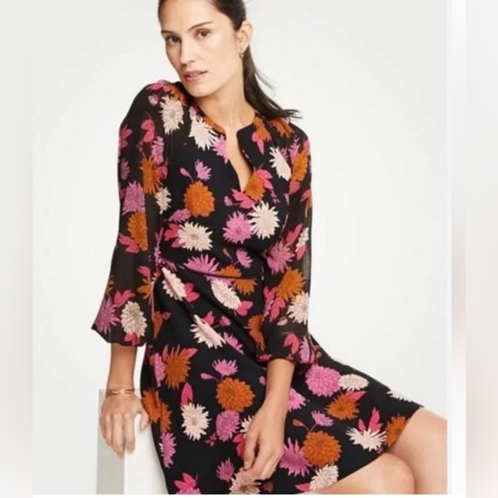 Ann Taylor Autumnal Black Dress with Chiffon Sleeves Size 0